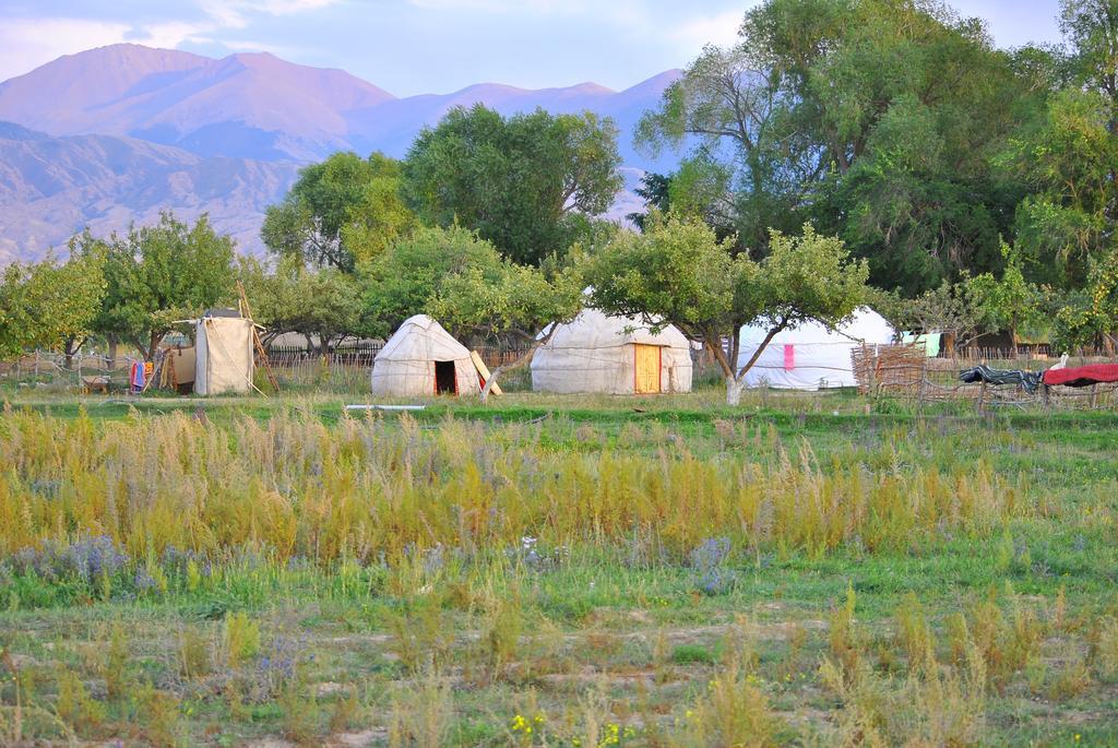 Jurten Camp Almaluu Tong Dış mekan fotoğraf
