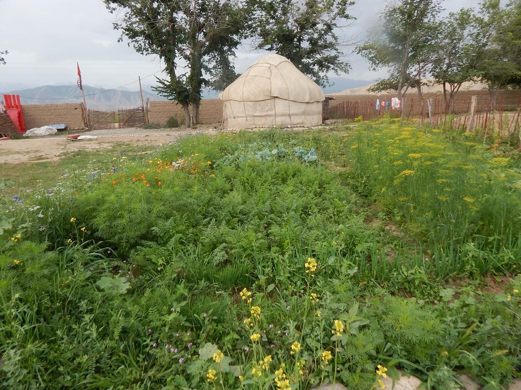 Jurten Camp Almaluu Tong Dış mekan fotoğraf