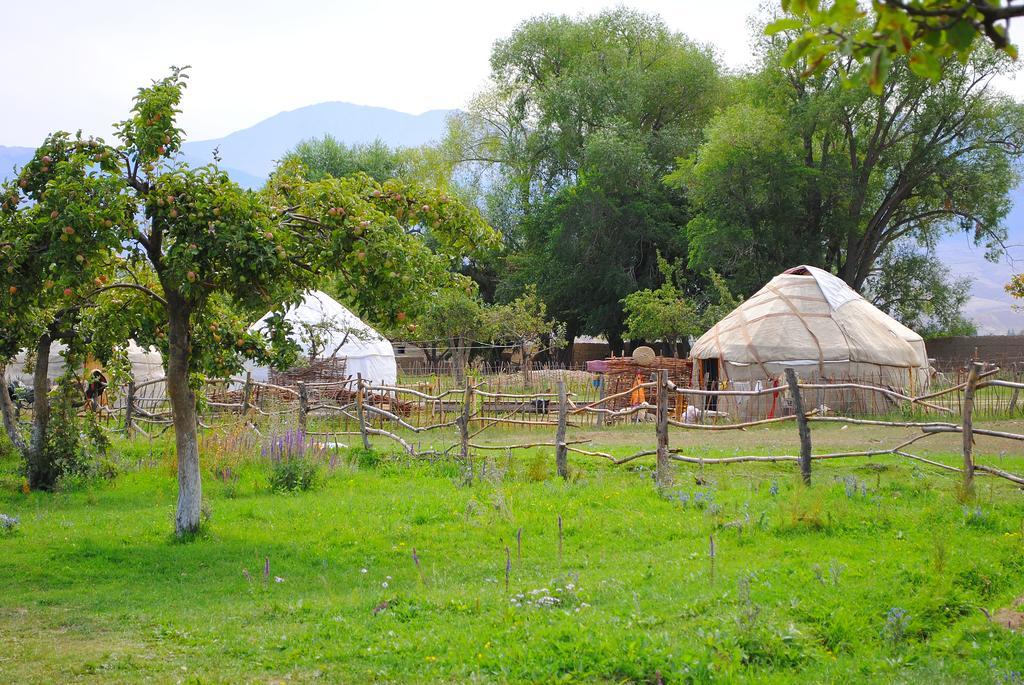 Jurten Camp Almaluu Tong Dış mekan fotoğraf